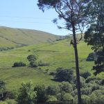 490524488_1243077364487811_759672046064244626_n