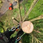 491798387_1243077227821158_8728303062098020310_n