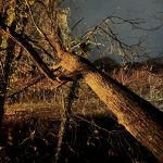 492568143_1253288946799986_6690809466627080045_n