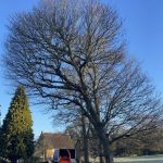 494090788_1254457023349845_7921612288425054324_n