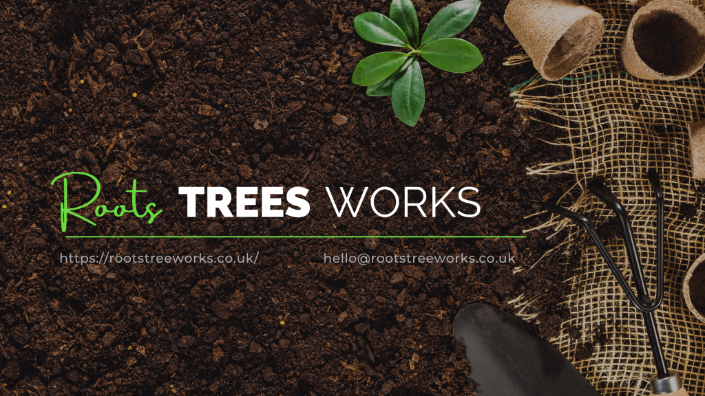 Roots Tree Surgeons Ltd logo